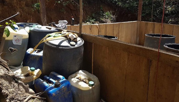 Honduras localiza cultivos de hoja de coca en Colón