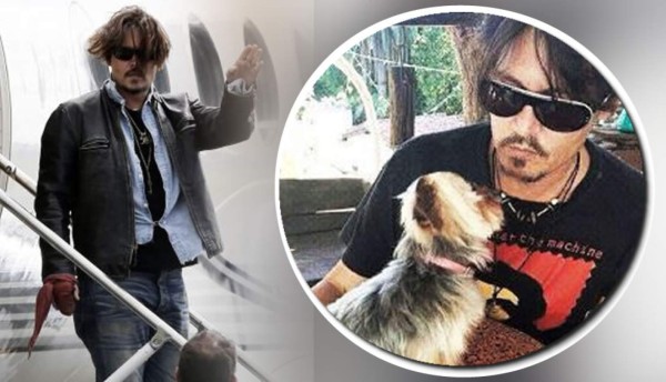 Johnny Depp podría enfrentar 10 años de cárcel por sus perros