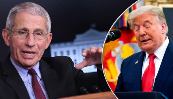 Biden pide a Fauci que forme parte de su 'equipo covid'