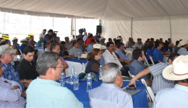 Consejo Nacional Agroalimentario fortalecerá la ganadería en Honduras