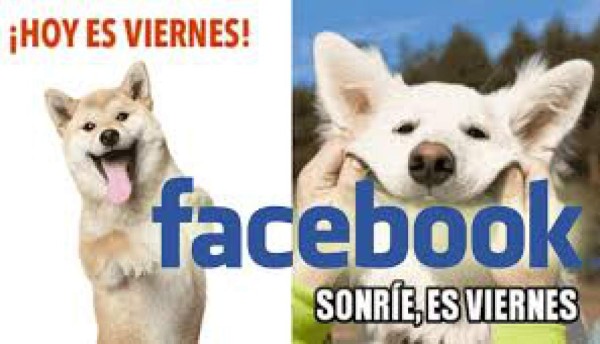 Nueva función de Facebook: ¡Escoge un meme!