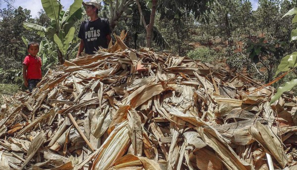 Niños hondureños resisten hambruna con la merienda escolar