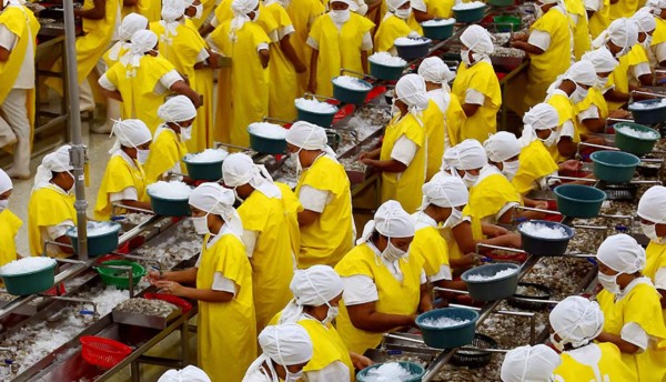 La agroindustria hondureña recupera volumen de exportaciones