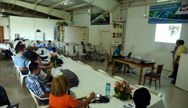 Instalarán un laboratorio para cultivar algas marinas en Colón