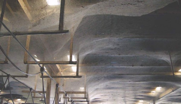 La telaraña mide unos 16 mil metros cuadrados.