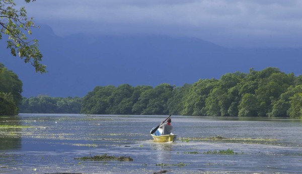 Cuero y Salado, el apasionante edén de las aves en Honduras