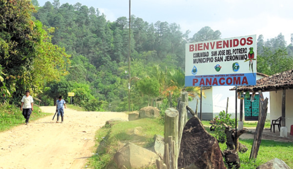Lanzan SOS para salvar el Panacoma