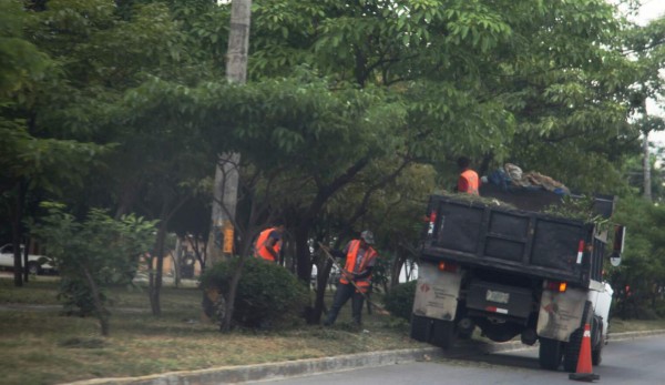 Baja incidencia de dengue en San Pedro Sula