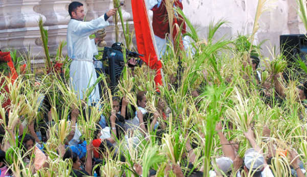 Cruz y palma, fe y devoción