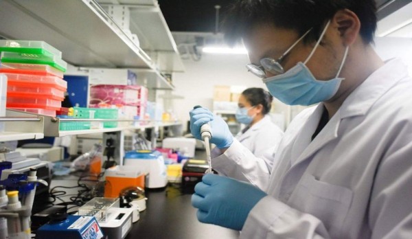 Científicos crean un centenar de embriones con mezcla de mono y humano en China