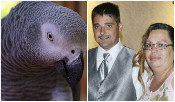 Loro la delata y la condenan por asesinato