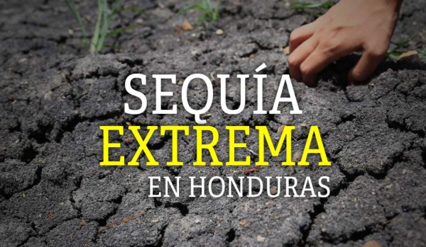 Dos millones de hondureños sufren por extrema sequía