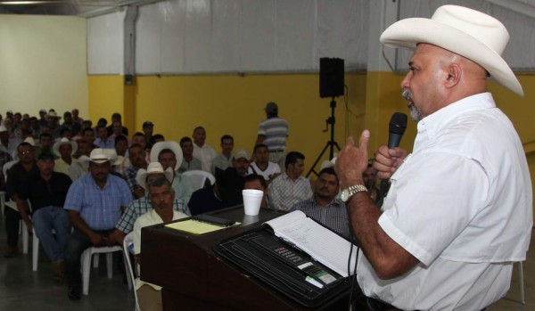 Productores de leche de Honduras exigen incremento de un lempira al litro