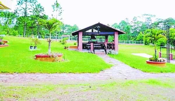 Lujosos bienes dejaron sin L156 millones a pacientes del IHSS