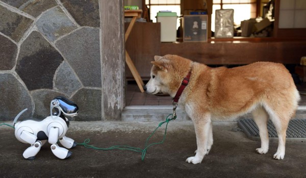 Aibo, el perro robot que posee alma