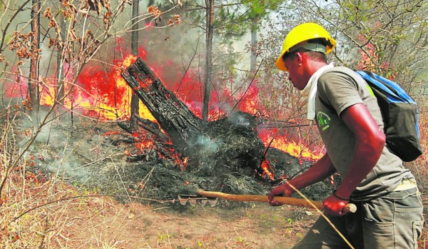 Incendios devastan 12,500 hectáreas de bosque en Honduras