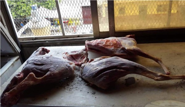 Autoridades decomisan carne de perro en un restaurante chino de la capital