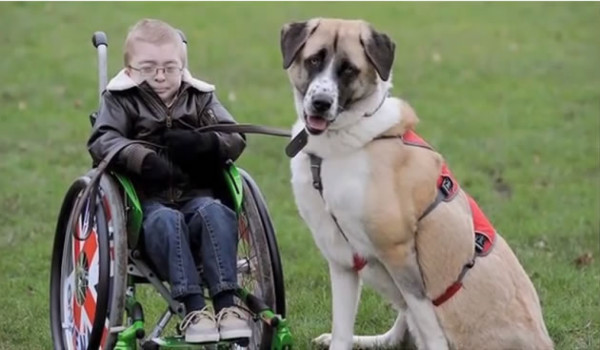 Video: Conmueve en la red el caso de un niño enfermo y su perro de tres patas