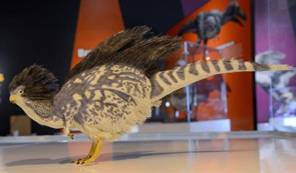 Los dinosaurios nunca se extinguieron, viven entre nosotros