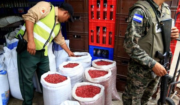 Baja el precio del frijol en mercados hondureños