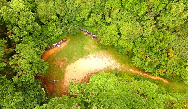 Un bosque de vida silvestre para recorrer y disfrutar