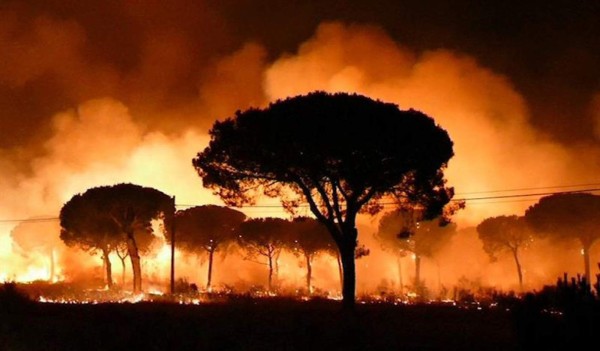 Un incendio amenaza al Parque Nacional de Doñana en España