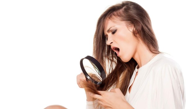 Causas y soluciones para el pelo maltratado