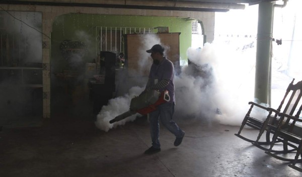 El 82% de los afectados por dengue en San Pedro Sula son niños