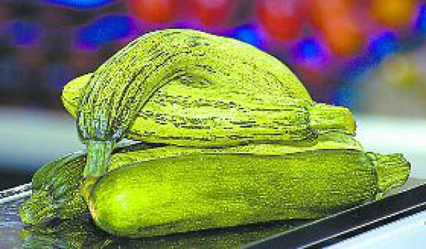 De los ayotes se aprovecha todo