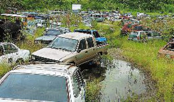 Carros se pudren en predios