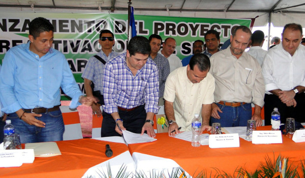 Impulsan el cultivo de la palma en Honduras