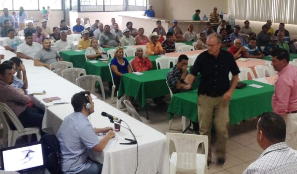 Palmeros buscan certificación para obtener mejores precios en el aceite