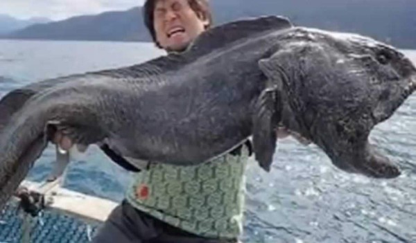 Capturan un pez mutante en Fukushima