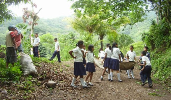 Trabajo social y reforestar, alternativas a la alfabetización