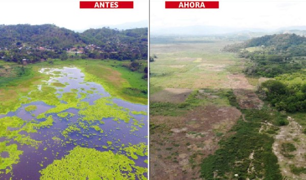 Desaparece la laguna de Jucutuma, una de las joyas naturales de San Pedro Sula