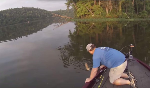 Busca pescar peces y lo que encuentra son gatitos