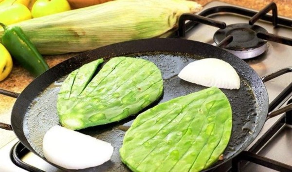 Investigadores mexicanos comprueban efectos benéficos del nopal en la salud