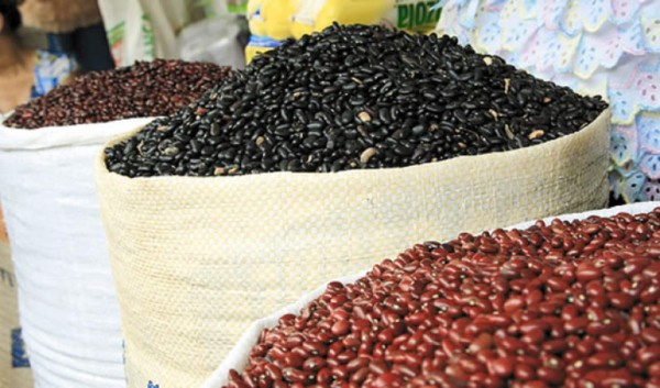 Llegan frijoles traídos por empresarios