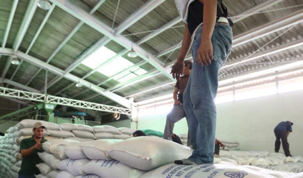 Ihma urge de L90 millones para restauración de bodegas