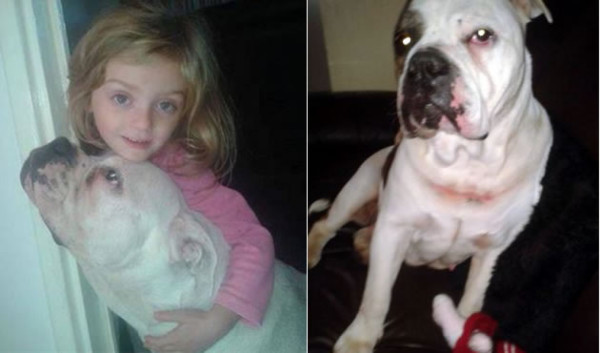 Niña de cuatro años muere tras ser atacada por su perro