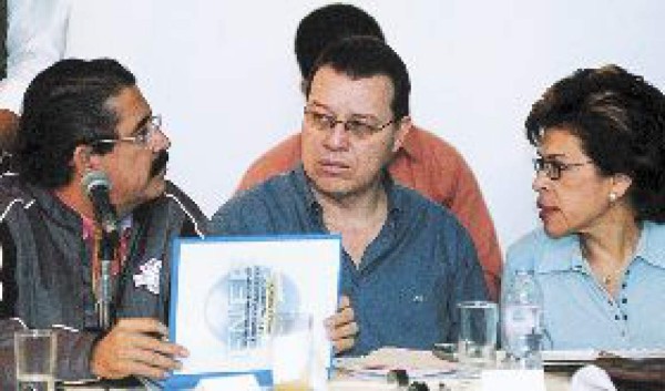 Gobierno a revisar contratos con Semeh y las térmicas