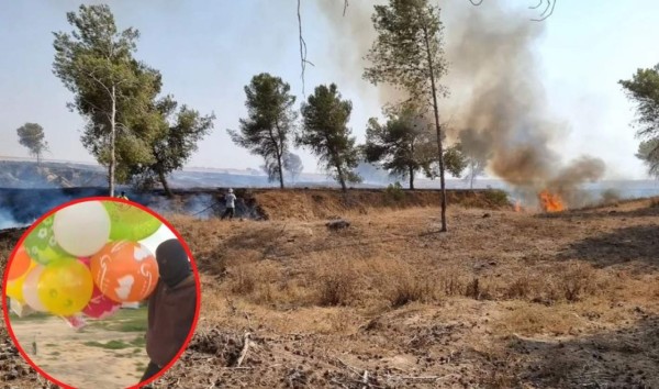 Incendios en Israel tras lanzamientos de globos incendiarios desde Gaza