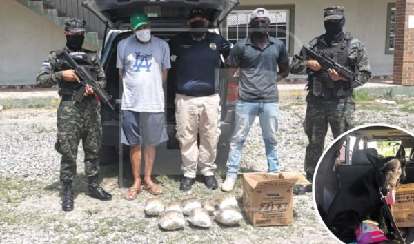 En retén militar encuentran paquetes de droga en La Ceiba
