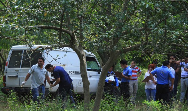 Lo matan en una hacienda cuando bajaba guayabas