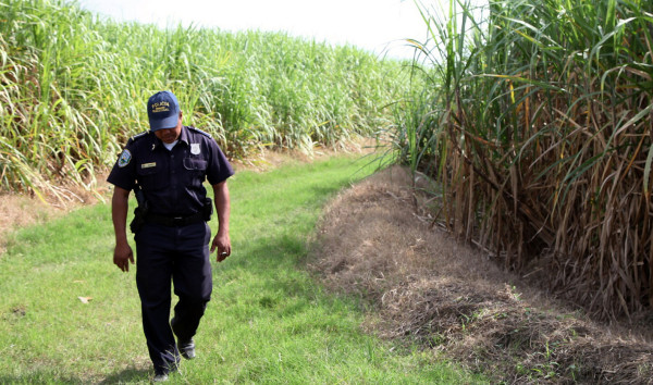 Tres muertos en diferentes hechos en Cortés