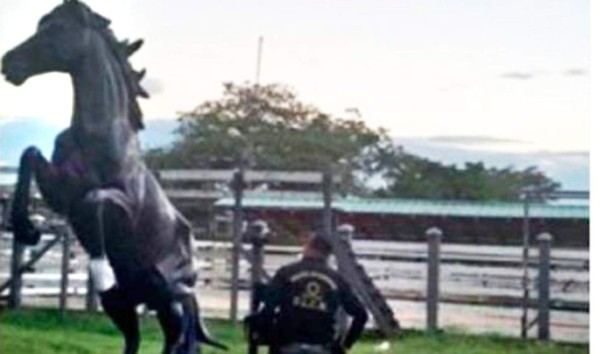 Arrestan a miembro del clan de los Amador Godoy