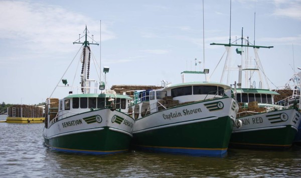 Mañana finaliza la veda para la pesca de langosta y camarón