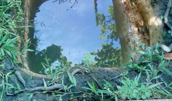 Niño muere ahogado en Gracias a Dios