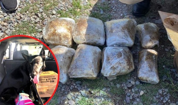 En retén militar encuentran paquetes de droga en La Ceiba