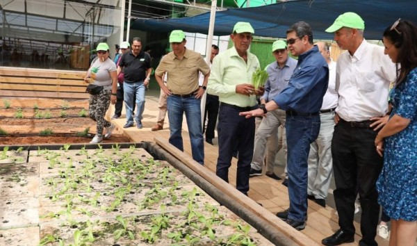 Honduras e Israel firmarán convenio en materia de agricultura